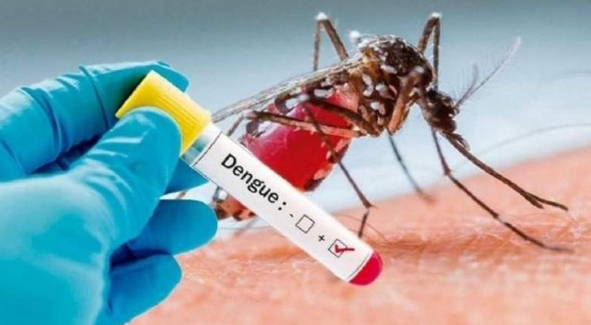 Dengue: solicitan confección de ficha epidemiológica ante casos sospechosos